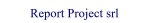 logo_Report Project S.r.l.